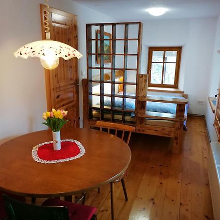 Apartment Perunika 采尔克诺 外观 照片