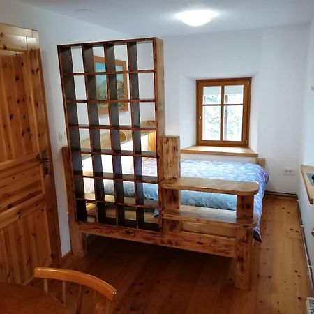 Apartment Perunika 采尔克诺 外观 照片