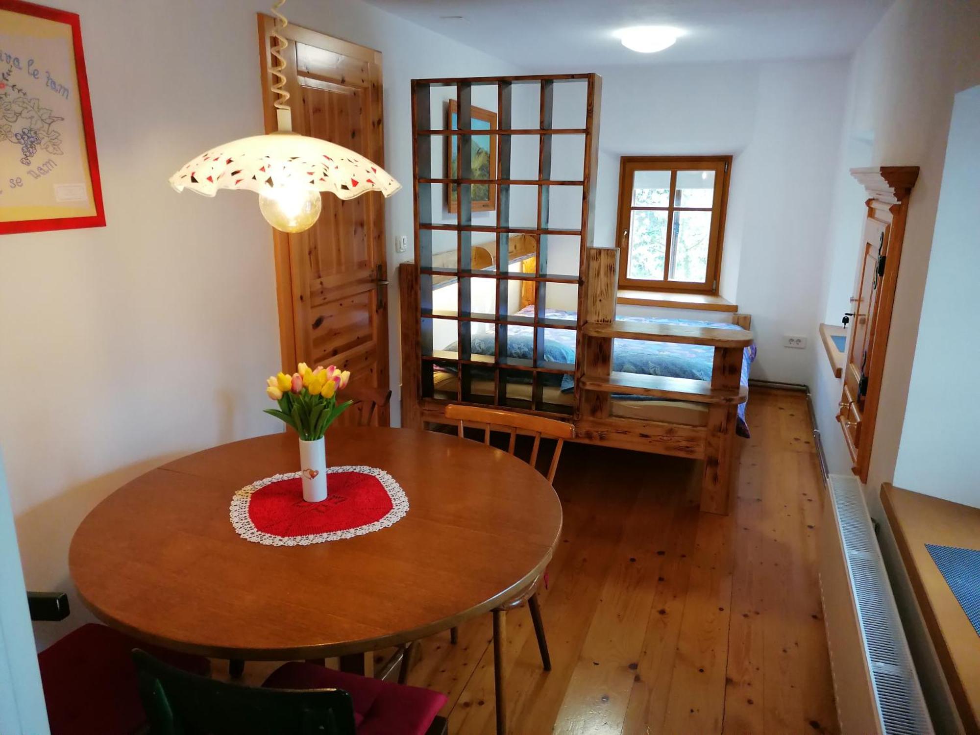 Apartment Perunika 采尔克诺 外观 照片
