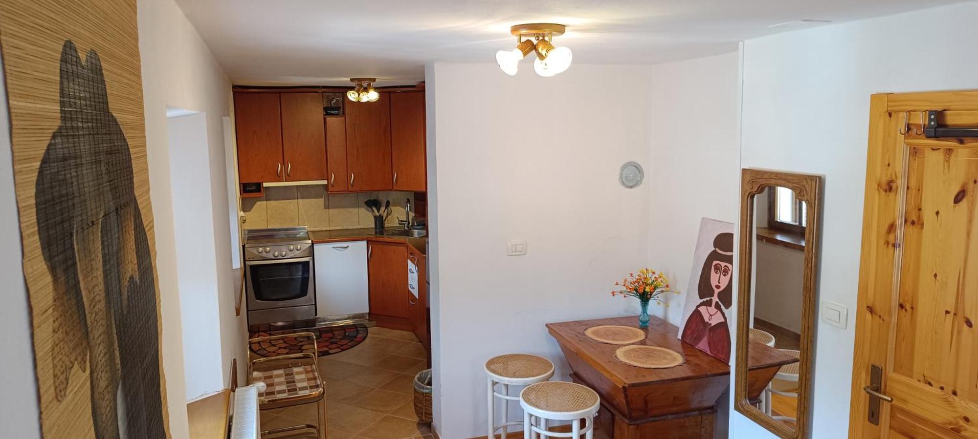 Apartment Perunika 采尔克诺 外观 照片